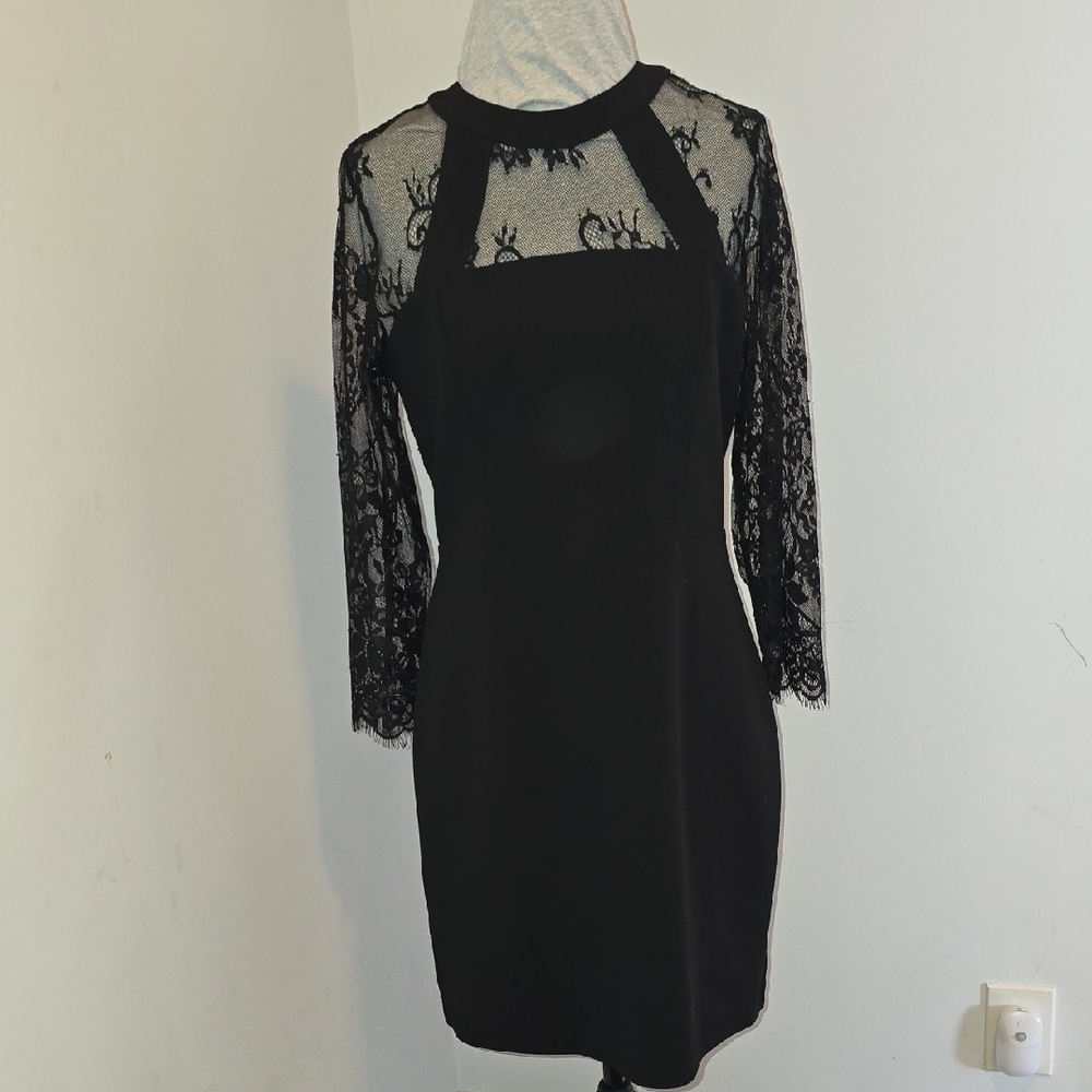 Express Black Lace Long Sleeve Dress